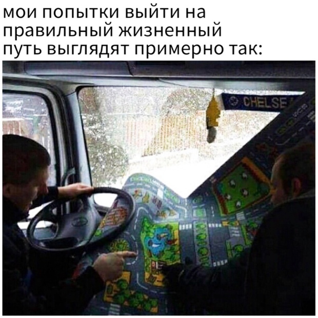 Прикольные картинки