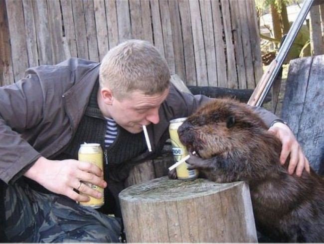 Забавные картинки