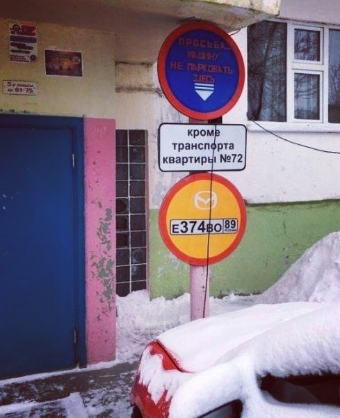 Забавные картинки