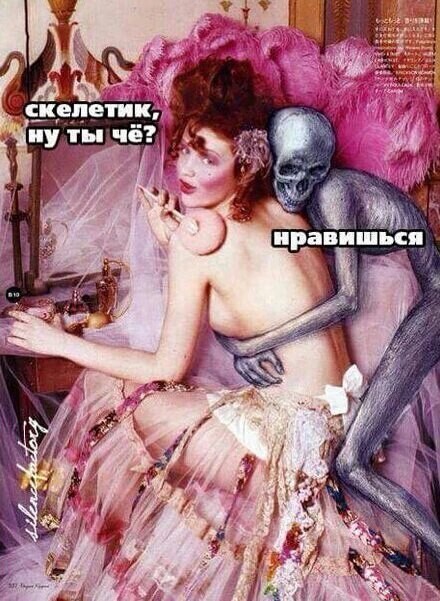 Забавные картинки