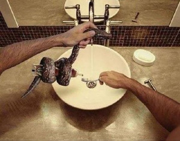 Забавные картинки