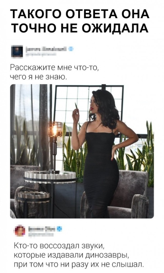 Юмор и шутки без смысловой нагрузки