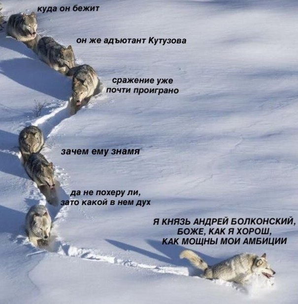 Юмор и шутки без смысловой нагрузки