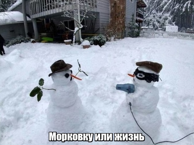 Прикольные картинки