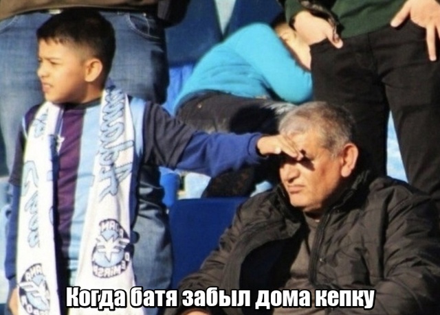 Прикольные картинки
