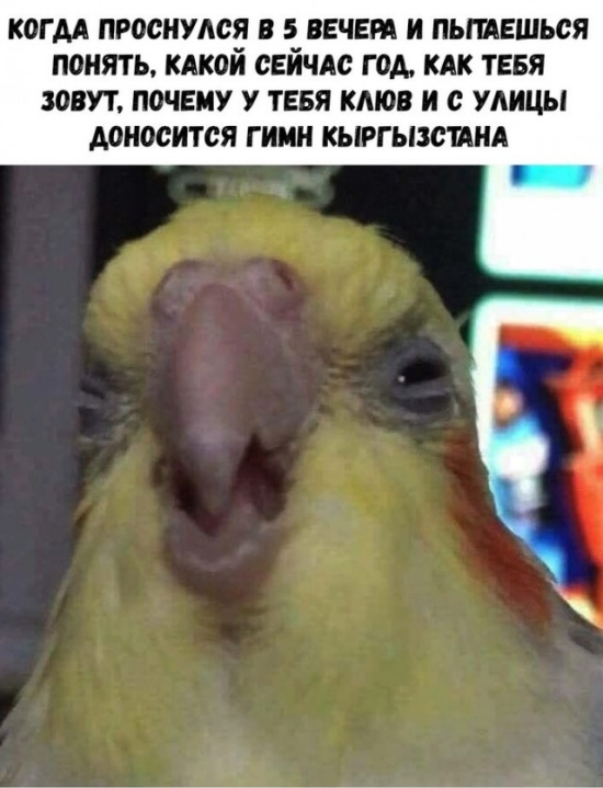 Прикольные картинки