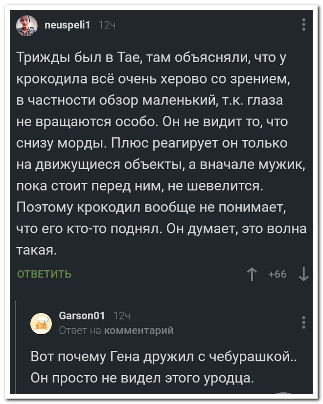 Забавные комментарии из социальных сетей