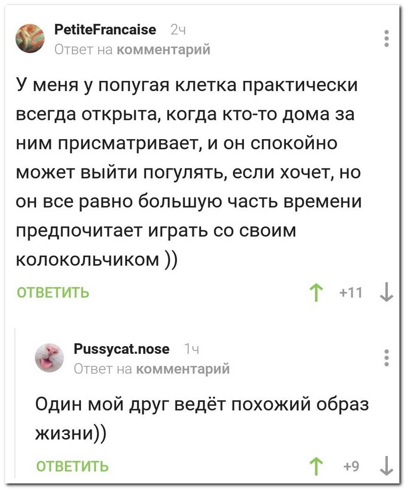 Забавные комментарии из социальных сетей