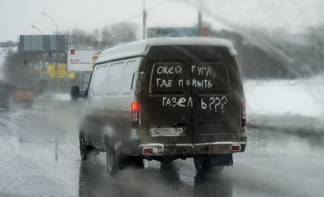 Прикольные картинки