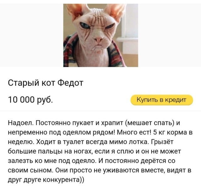 Прикольные картинки