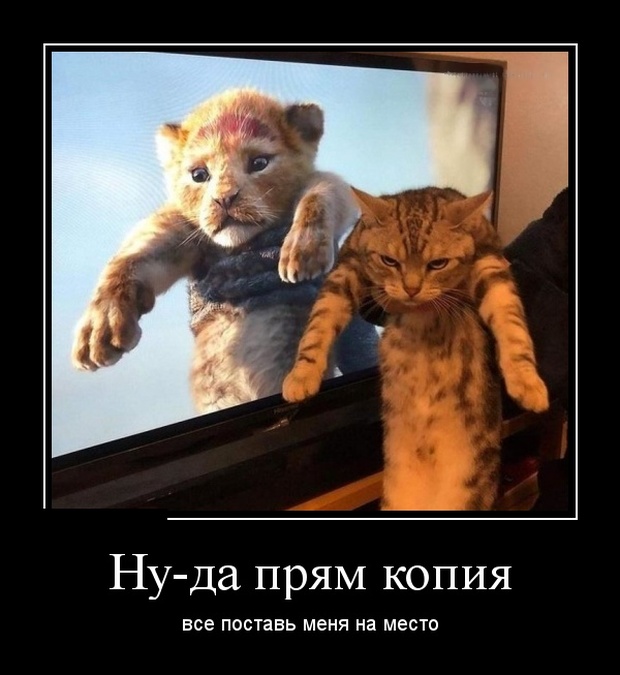 Демотиваторы