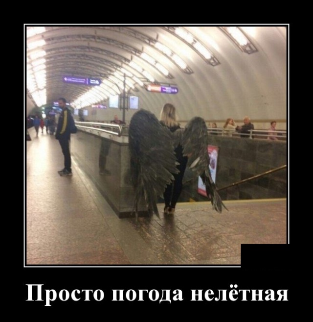 Демотиваторы