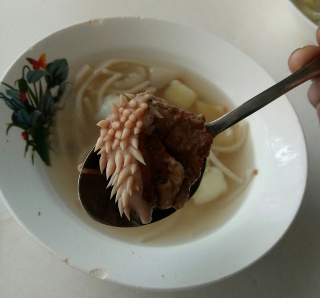 Ученики обнаружили в школьном супе кусок мяса с "щупальцами"