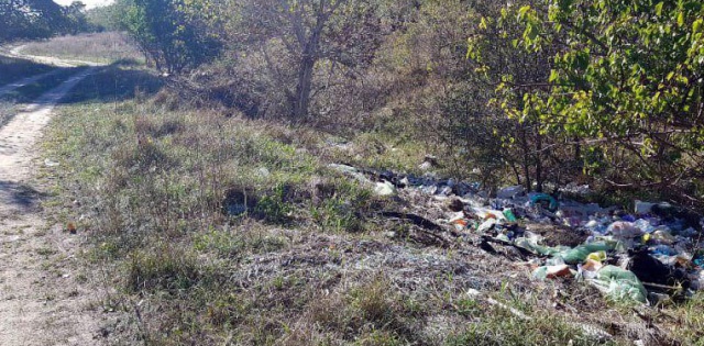 Чиновник в Ростовской области "закрасил" мусорную свалку в фотошопе
