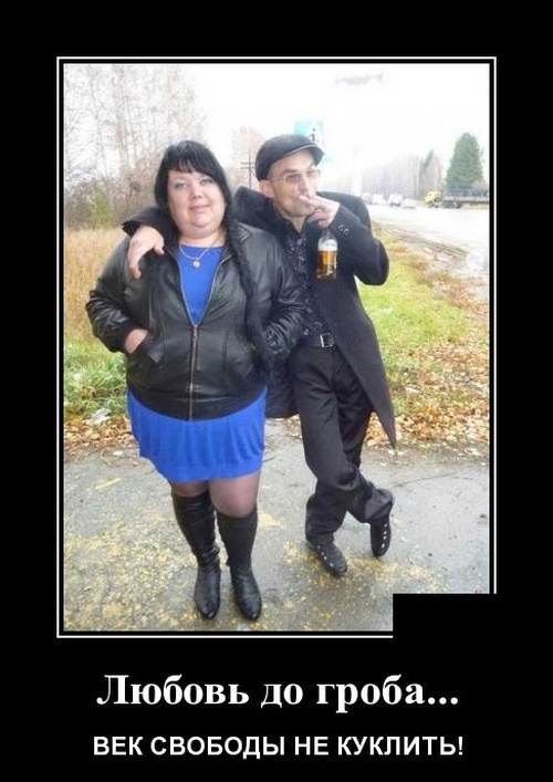 Демотиваторы