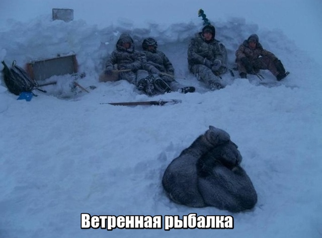 Прикольные картинки