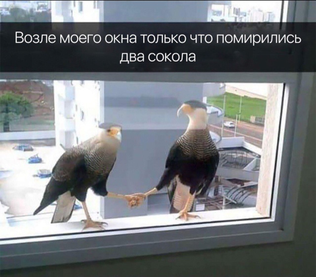 Прикольные картинки