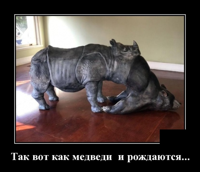 Демотиваторы