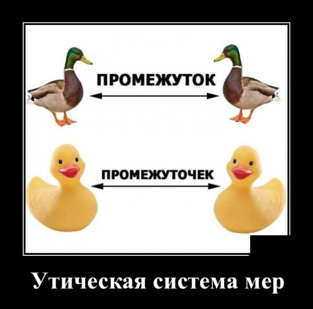 Демотиваторы