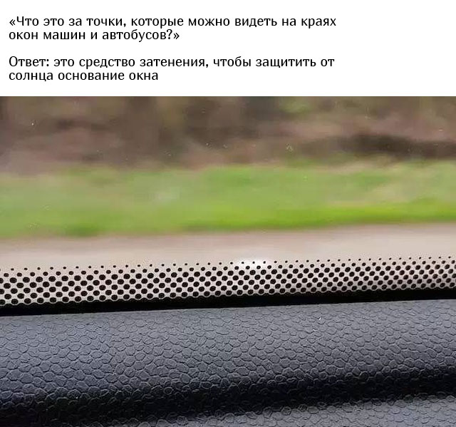 Люди спрашивают у пользователей сети: "Что это такое?"