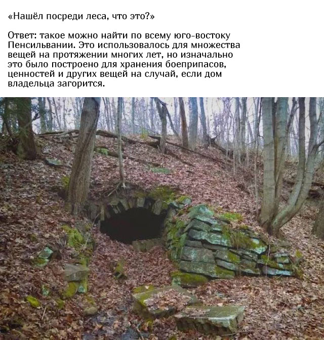 Люди спрашивают у пользователей сети: "Что это такое?"