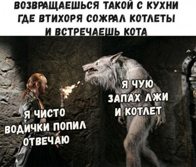 Прикольные картинки