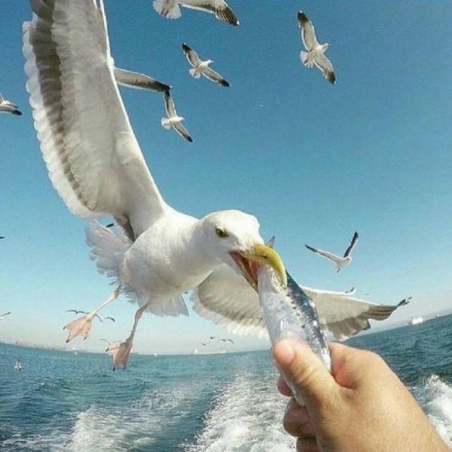 Яркие фотографии вместо тысячи слов