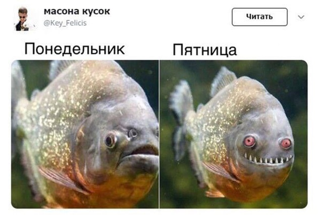 Прикольные картинки