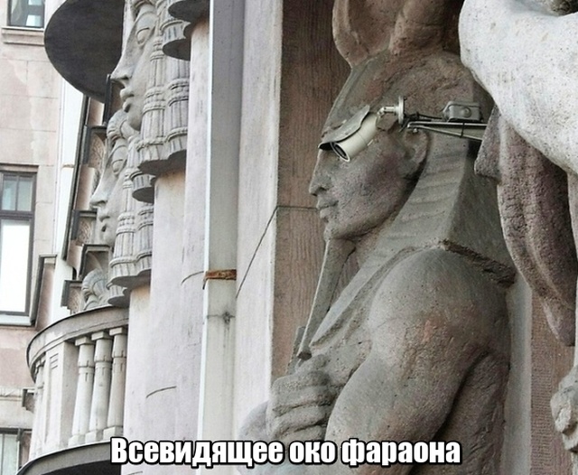 Прикольные картинки