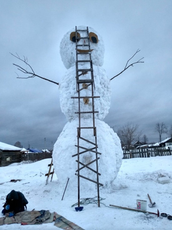 Прикольные картинки