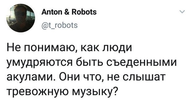Прикольные картинки