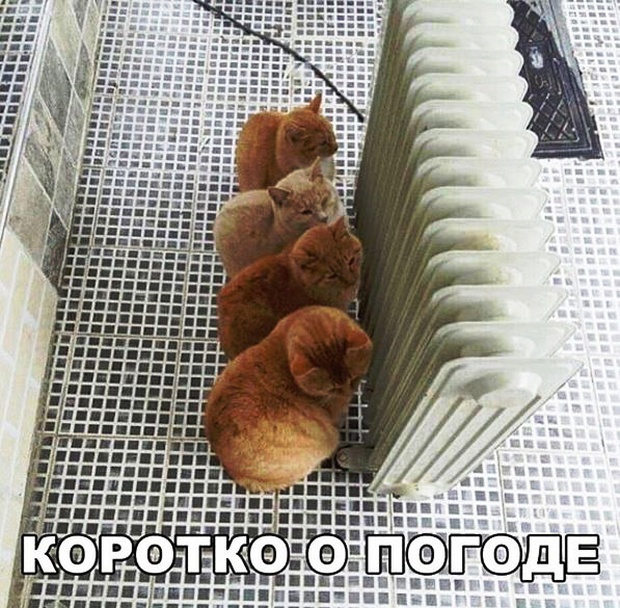 Простой юмор с просторов сети