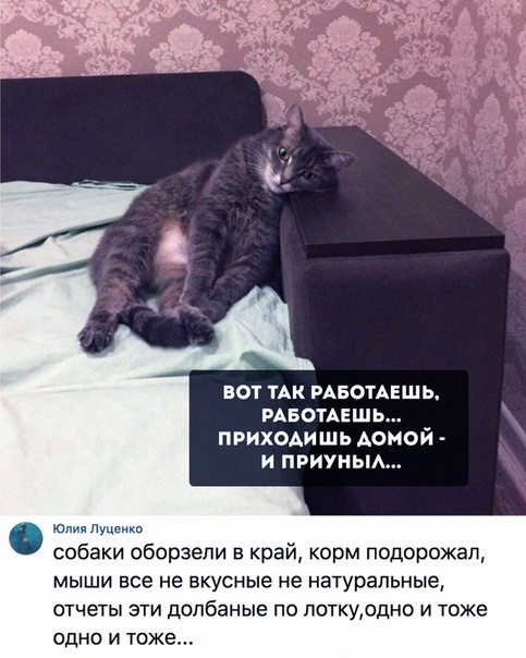 Простой юмор с просторов сети