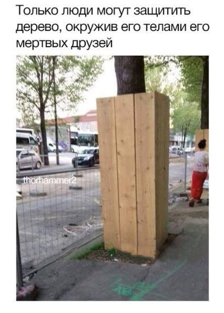 Простой юмор с просторов сети