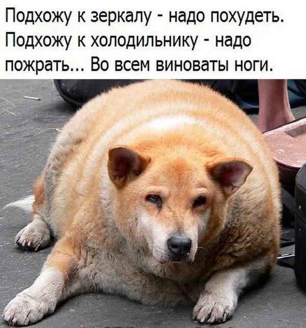 Простой юмор с просторов сети