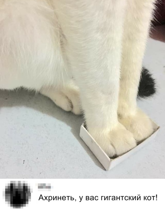 Прикольные картинки