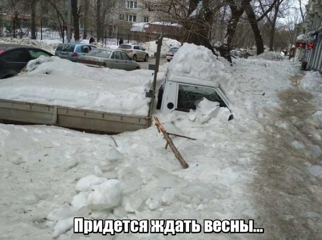 Прикольные картинки