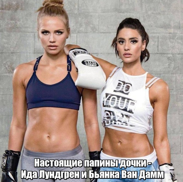 Прикольные картинки