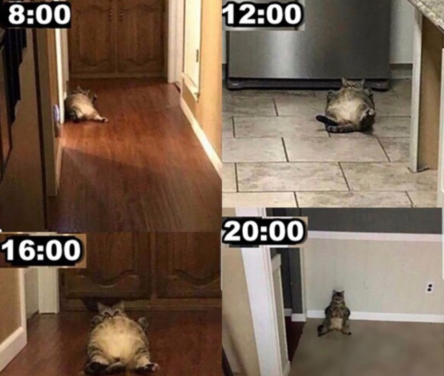 Прикольные картинки