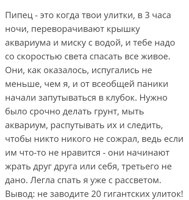 Истории людей с просторов сети