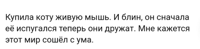 Истории людей с просторов сети