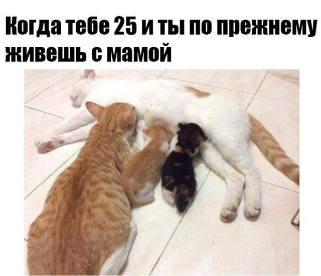 Простой юмор с просторов социальных сетей