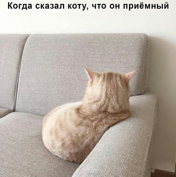 Простой юмор с просторов социальных сетей