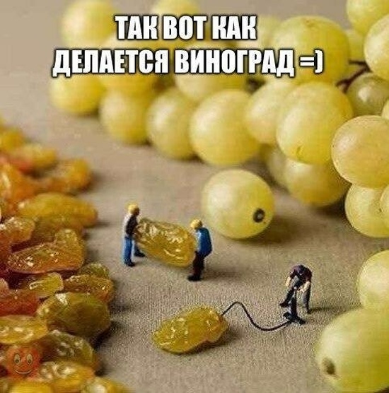 Простой юмор с просторов социальных сетей