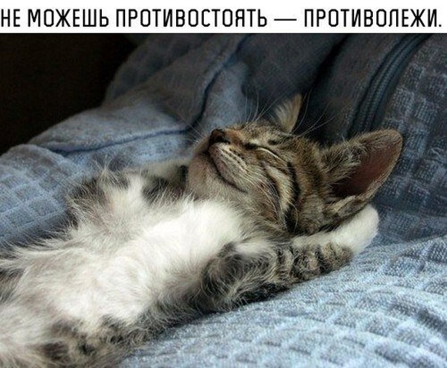 Простой юмор с просторов социальных сетей