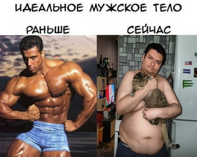 Прикольные картинки