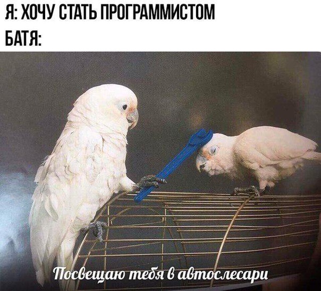 Прикольные картинки