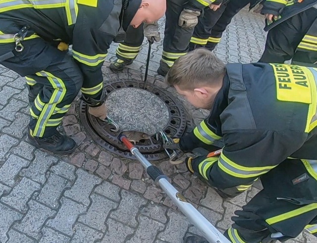Бригада из восьми немецких пожарных спасла застрявшую крысу