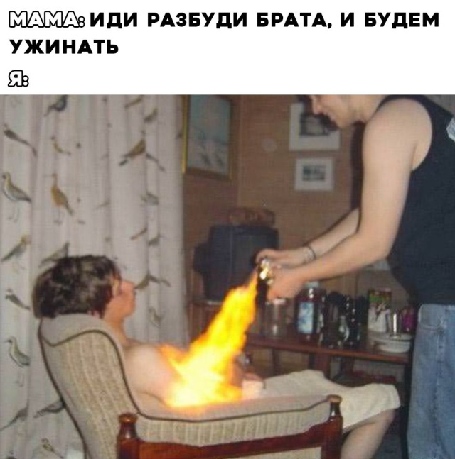 Прикольные картинки