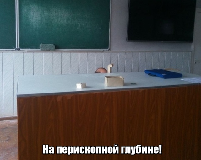 Прикольные картинки